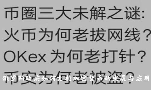 俄罗斯政府如何支持加密货币的发展与应用