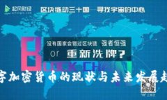 数字加密货币的现状与未来发展趋势