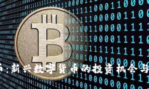 WS虚拟币：新兴数字货币的投资机会与风险分析