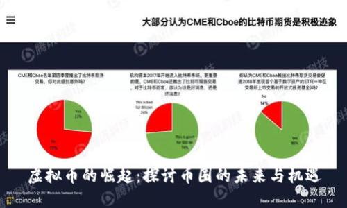 虚拟币的崛起：探讨币圈的未来与机遇