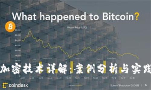 数字货币加密技术详解：案例分析与实践视频分享