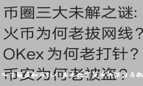 深入了解虚拟币ECC：未来数字货币的潜力与挑战