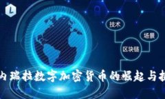 委内瑞拉数字加密货币的崛起与挑战
