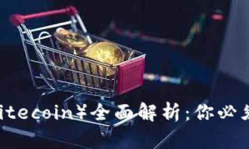 2023年莱特币（Litecoin）全面解析：你必须知道的投资机会