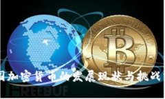 中国加密货币的发展现状与挑战分析