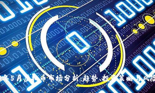 2023年5月虚拟币市场分析：趋势、投资策略与风险防范