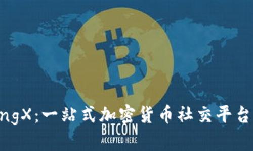 探索BingX：一站式加密货币社交平台的全貌