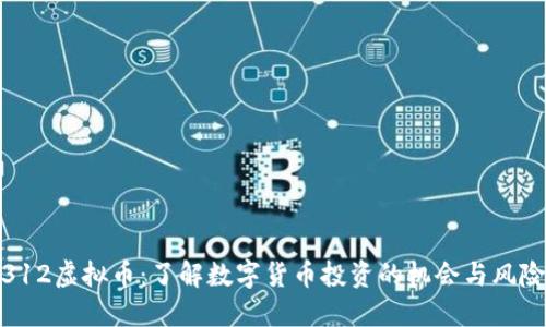 312虚拟币：了解数字货币投资的机会与风险