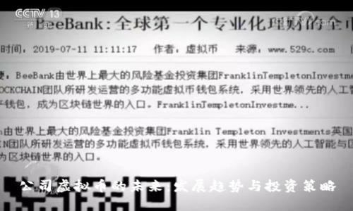 公司虚拟币的未来：发展趋势与投资策略
