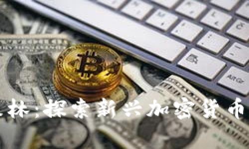 黑暗森林：探索新兴加密货币的奥秘