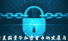探索美国量子加密货币的发展与未来