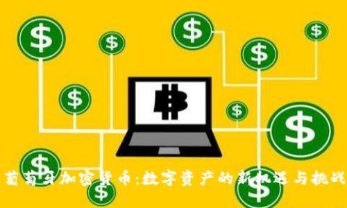 葡萄牙加密货币：数字资产的新机遇与挑战
