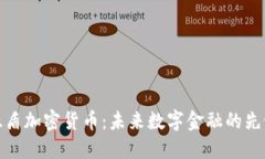 亚盾加密货币：未来数字金融的先锋