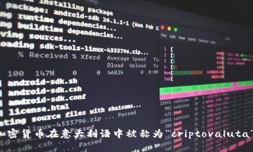 加密货币在意大利语中被称为“criptovaluta”。