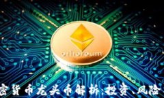 2023年加密货币龙头币解析：投资、风险与未来趋