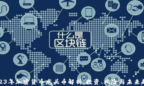 
2023年加密货币龙头币解析：投资、风险与未来趋势