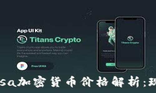  
2023年Visa加密货币价格解析：现状与趋势