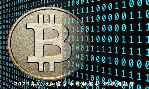  
2023年Visa加密货币价格解析：现状与趋势