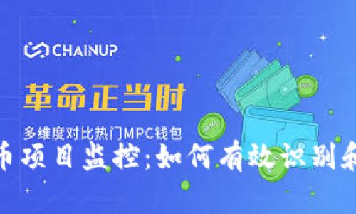 全面解析虚拟币项目监控：如何有效识别和规避投资风险