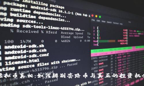虚拟币真相：如何辨别套路币与真正的投资机会