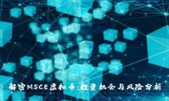 解密MSCE虚拟币：投资机会与风险分析