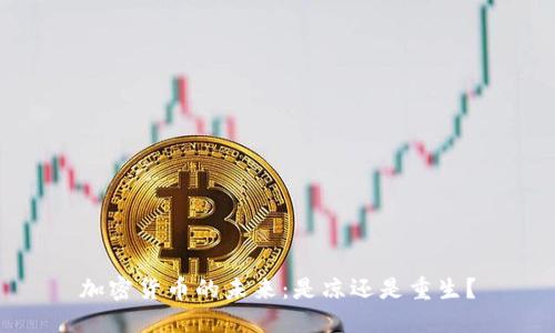 加密货币的未来：是凉还是重生？
