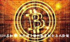 OSSO虚拟币：你必须了解的投资机会与风险解析