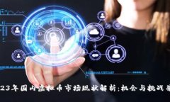 2023年国内虚拟币市场现状解析：机会与挑战并存