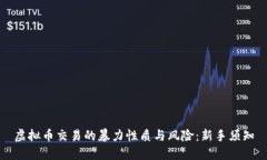 虚拟币交易的暴力性质与风险：新手须知