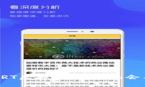 深入探讨SRT虚拟币：投资机会与风险分析