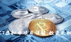 2023年NQCT虚拟币项目详解：投资先机与风险解析
