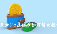升值潜力巨大！Lz虚拟币如何解决投资者痛点？